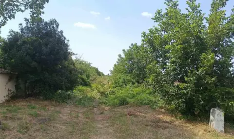 Romania, Russia and Ukraine with first comments after the incident near Kardam - 1