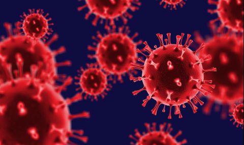 "Доматен грип" - Нов, силно заразен вирус е регистриран в Индия - 1