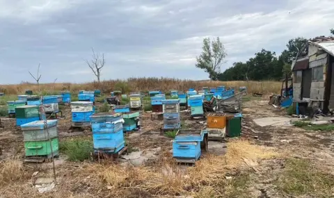 Откриха канабис, укрит в пчелни кошери, в карнобатско село (СНИМКИ) - 1