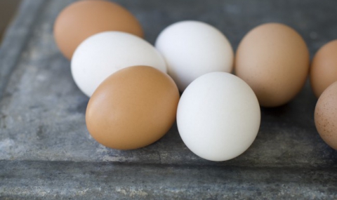 7 удивителни факта за яйцата - 1