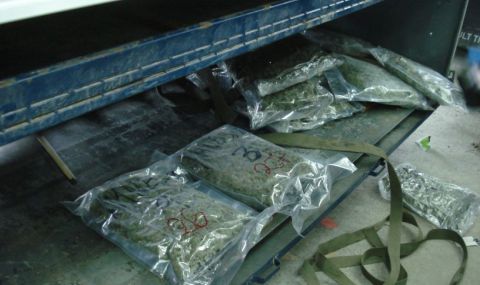 106 кг марихуана хванаха митничари на ферибот Оряхово - 1