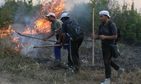 Голям пожар в покрайнините на Стара Загора - 1