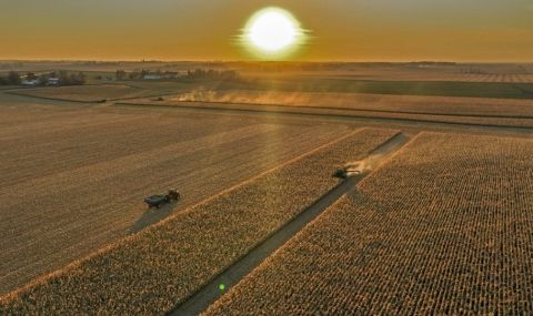 Деветата най-голяма държава в света съкращава експорта на зърно - 1