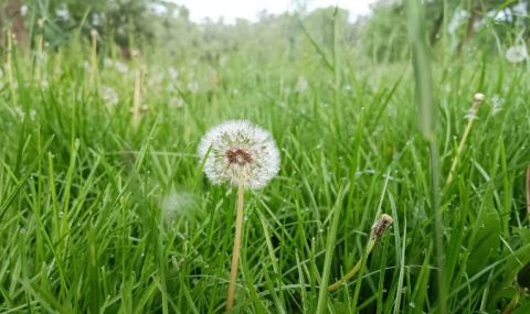Времето днес, прогноза за вторник, 30 май: Слънчеви часове, но и валежи с гръмотевични бури - 1