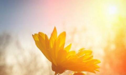 Слънце, слънце и пак слънце - 1