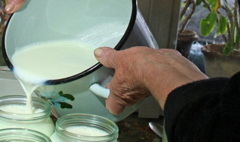 Млекопроизводители изпитват липса на качествено мляко - 1