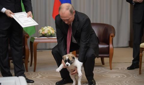 Още едно куче за Путин (ВИДЕО+СНИМКИ) - 1