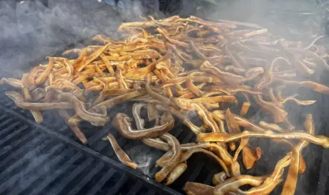  Стара Загора празнува: Фестивал на свинските уши - 1