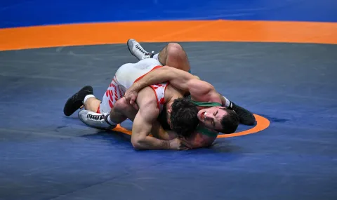 BF Wrestling explained why Novikov and Milov did not go to the World Championships: No camp, no mat - 1