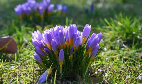 Времето днес, прогноза за петък, 9 май: Предимно слънчево, но ветровито. Нахлува по-хладен въздух - 1