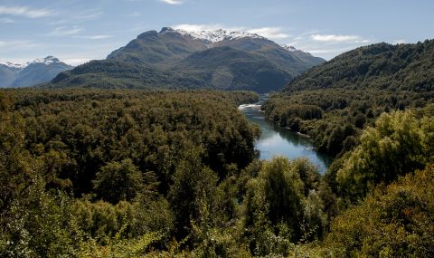 Горите в Аржентина намаляват заради ниските глоби - 1