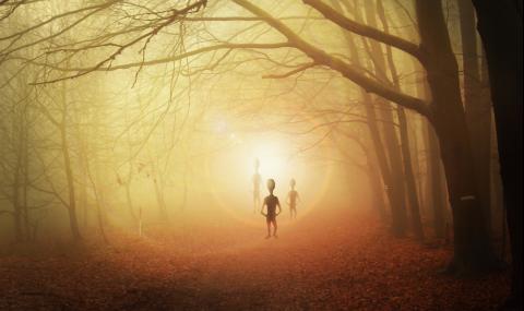 Истина или лъжа е най-обсъжданият НЛО инцидент във Великобритания? - 1