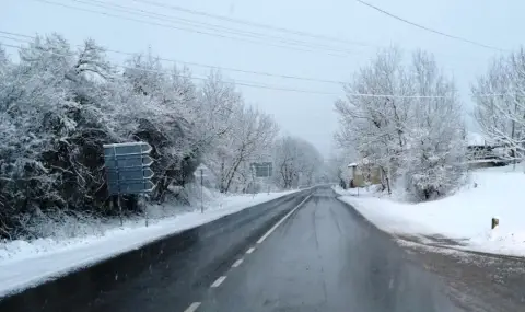 Сняг вали в Рожен и Пампорово - 1