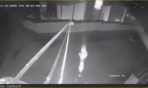 Bear descends in Karlovo  - 1