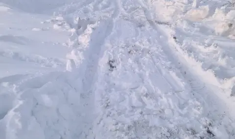 Кметът на Червен бряг показа как се спасяват закъсали коли в снежния ад ВИДЕО - 1