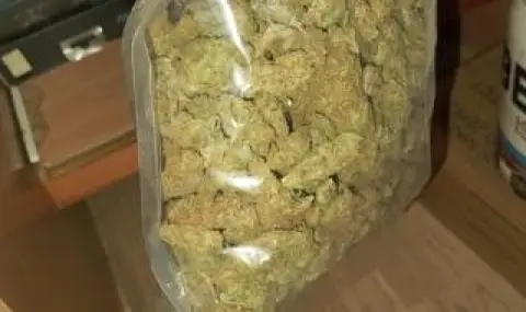 Значителни количества наркотици са иззети при спецакция в Софийска област