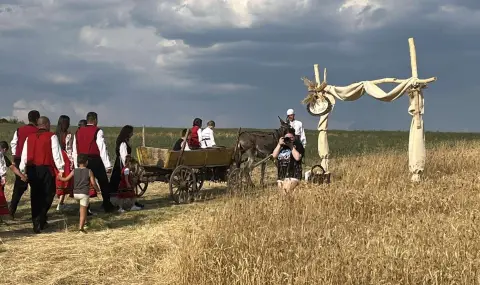 Ниски изкупни цени обричат зърнопроизводителите на фалит. Не може две фирми да определят цената  - 1