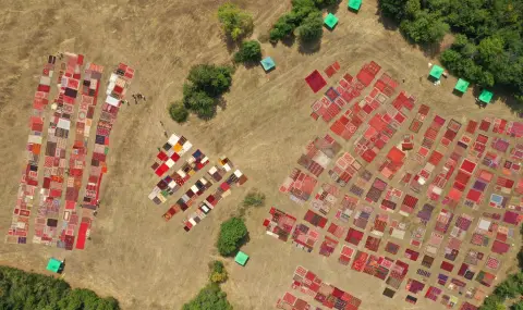 Холандец показа най-голямата колекция от близо 1000 български килима в света (СНИМКИ) - 1