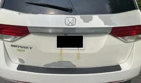 Honda sued over poor paint quality  - 1