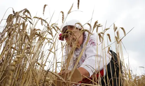 7,131,095 tons of wheat have been harvested  - 1