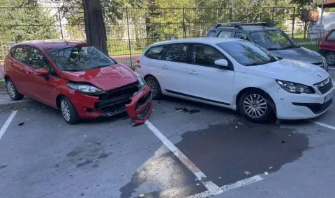 A young woman from Varna swept three cars to avoid running over a cat  - 1