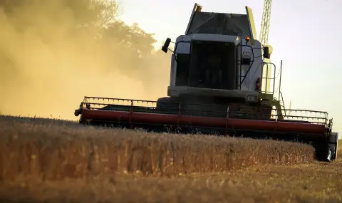 25% по-ниски добиви от пшеница отчитат в Добруджа тази година - 1