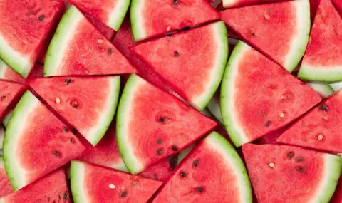 Празнуваме световния ден на динята: Любопитни факти за лятното изкушение - 1