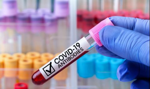 Антителата след коронавирус остават в кръвта до 500 дни - 1