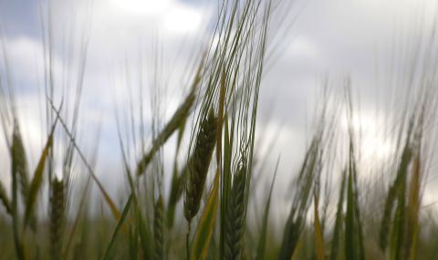 Възстановяването на селскостопанския сектор в Украйна може да отнеме до 20 години - 1