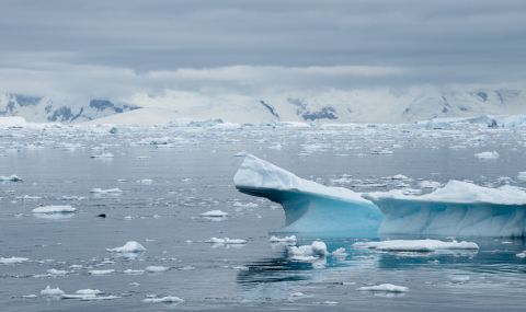 Коронавирусът стигна и до Антарктида - 1