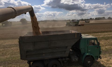 Родните зърнопроизводители пред фалит заради Украйна - 1