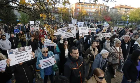 Заради прегазеното куче Мая: Протест пред ВМА ще настоява д-р Цоневски да бъде отстранен от работа