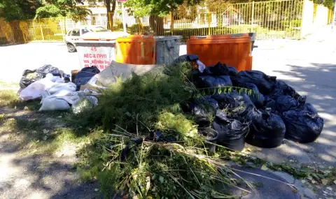 How legal is it to throw garbage around the bins  - 1