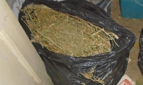 Иззеха килограм марихуана от мъж в Севлиевско - 1