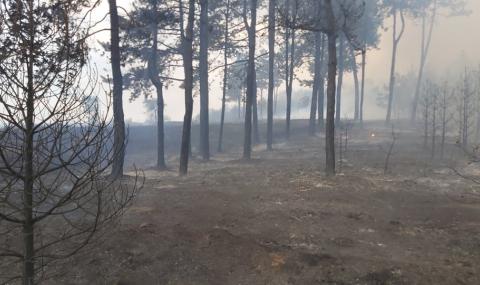Потушиха пожарите в Хасковско - 1