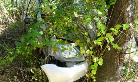 23-годишен разби лек автомобил в дърво във Видинско посред нощ - 1