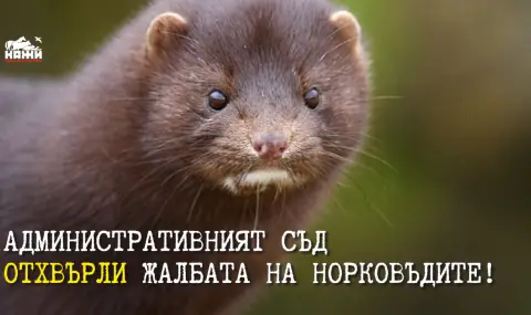 The mink breeders lost the case for the mink ban  - 1