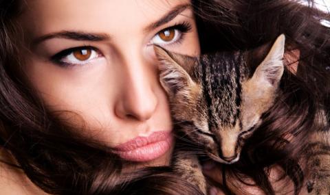 9 девет причини, които моментално ще ви накарат да си вземете котка - 1