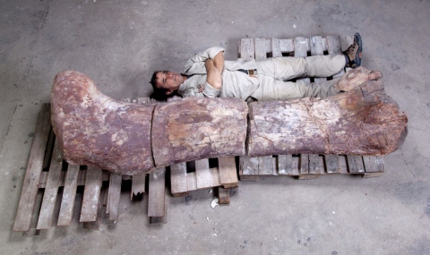 Откриха останки от най-големия динозавър, живял някога на Земята - 1