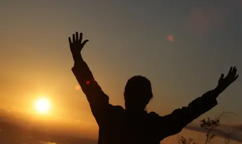 The Bulgarian Stem Cell Registry needs new additions  - 1