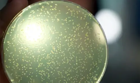 Учени създават изкуствена човешка ДНК от нулата - 1