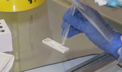 В Габрово разкриха схема за издаване на фалшиви сертификати за антигенни тестове - 1