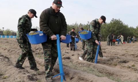 Лукашенко сади дървета по време на епидемия - 1