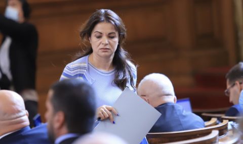 Росица Кирова представя идея за лечебен туризъм в Северозапада - 1