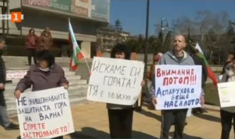Варна отново на протест срещу изсичането на гора  - 1