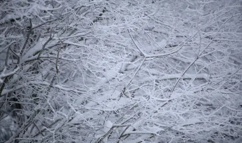 Тревога: Задава се първата зимна обстановка за този сезон, възможни са наводнения по Южното Черноморие - 1