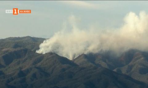 Щата Аризона: Стотица хора напуснаха домовете си заради пожари - 1
