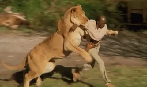 Lion mauls keeper at Nigerian zoo  - 1