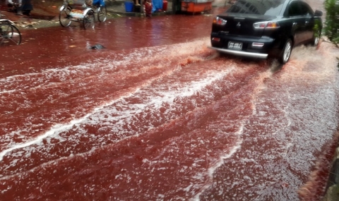 Кървави реки заляха улиците на Дака (видео) - 1