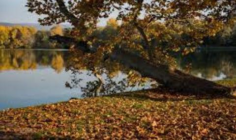 Слънчева събота - 1